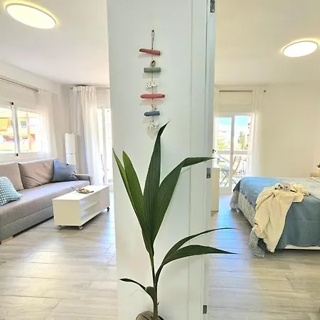 Mavi